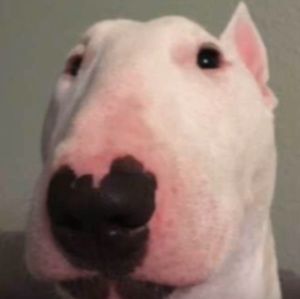 Meet your Posher, Vera